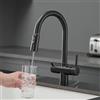 XJTNLB Rubinetto Depuratore Acqua 3 Vie Nero Rubinetto Cucina con Doccetta Estraibile a 3 Vie per Osmosi Miscelatore Acqua Potabile