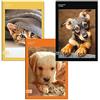 SEVEN SPA Quaderno maxi 5 pz SEVEN COLOUR CODE ANIMALI quadretto 10 mm MAX QTY + 30% fogli