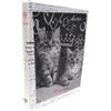 PRESTIGE & DELUXE Agenda compatibile con diario RachaelHale Grigio cuccioli gatti F.to Standard 18x14 cm 2026/2027