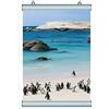 Displayshop Coppia Profili Portaposter a Scatto 70 cm Poster Snap