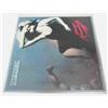 Nonsolo-computer 100 BUSTE PER DISCHI Vinili 33 Giri LP - DLP 12, in Polietilene (PE) MY 80