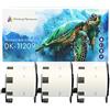 Printing Pleasure 3x Compatibile Rotolo DK-11209 29mm x 62mm Etichette adesive (Etichetta per rotolo: 800) per Brother P-Touch QL-500 550 560 570 700 710W 720NW 800 810W 820NWB 1050 1060N 1100 1110NWB, Nastro in Carta