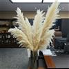 OPica 50-60 cm Pampa Erba Decor Disposizione di fiori secchi Canna Bouquet Fiore artificiale Casa Natale Boho Decorazione della tavola di nozze