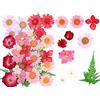 Ulalaza 30pz Fiori secchi pressati Foglie Candele di colore fai-da-te naturali reali Ciondoli di gioielli in resina decorativa artistico Cassa del telefono per unghie Trucco facciale