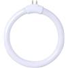 YNiuniunny T4 11W 220V LED Tubo Rotondo Lampadina Quattro Perni Luce Fluorescente Lampada Ad Anello Tubo Bianco Luce Di Vetro Di Ingrandimento Piccola Lampadina Da Scrivania