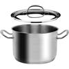 COSE DA CASA Pentole e casseruole con coperchio in acciaio inox 18/10 per bollire cuocere pasta verdure carne sugo con triplo fondo a induzione gas elettrico 2 manici (Pentola D24 CM)