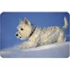 Tcoay Zerbino Tappeto Tappetino Tappeto Poliestere Antiscivolo Decorazione Pavimento Assorbente Bagno Pad,Westie Inverno West Highland White Terrier Cani