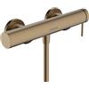 hansgrohe 73622140 Miscelatore monocomando Doccia, Bronzo Spazzolato