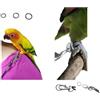 BLUSUPERSHOP LACCIO ZAMPA ELASTICO / 3 ANELLI 10 12 E 14 MM ZAMPA, PER AGGANCIARE GUINZAGLIO DELLA NOSTRA PETTORINA PETTORINA PAPPAGALLI BLUSUPERSHOP O FREEPARROT