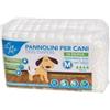 Leopet Pannolino igienico Assorbente a Mutanda (M (girovita 45-66))