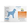DYNAMOPET | Vita Medium - Alimento Complementare per Mantenere le Difese dell'Organismo del Cane, Confezione 20 Bustine da 4 g - una Bustina ogni 20 kg di Peso dell'Animale