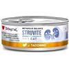 CT-TRONICS Disugual Gatto Struvite Dieta | Bisogni Nutrizionali Speciali | Vari Sapori e Miscele | (12x85Gr, Tacchino)