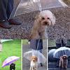 Bluelans®, ombrello trasparente per cane