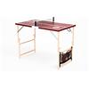 DISH TENNIS Mini tavolo da ping pong con rete | bordeaux
