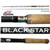 Pescasubito.com Canna Spinning Black Star 2.40Mt Azione 30/80G