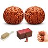 Generic Noci Wenwan cinesi naturali, autentiche noci da collezione, migliorano la destrezza delle dita, padri, anziani o collezionisti (A 37-38 mm)