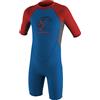 O'NEILL ONeill Toddler Kids Youth Junior Reactor 2MM Zip Posteriore Shorty Muta Ocean Graphite Red - Unisex
