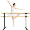 jiajulashou123 Sbarra da Balletto Doppia Sbarra per Danza Classica Sbarra Danza Classica per Casa Portatile Antiscivolo Barra di Danza in Metallo Barra da Ballo Autoportante per Allenamento (120 * 60 * 105cm)