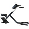 Bad Company Panca Hyperextension professionale a 45° I Back trainer I Panca romana per estensioni dorsali I BCA-05
