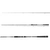 DAIWA Prorex S Spin, 2.40m, 10-30g, 2 Sezioni, Extra Veloce/Veloce, Canna da Pesca Spinning, 11282-241
