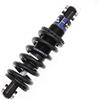 CXJYBH Ammortizzatore Posteriore MTB Shock Dura Rebound Damper Modulo Molla Idraulico 165 Mm Ammortizzatori per Biciclette (Color : 165mm 24x24 650lbs)