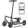 Riceel R50 Monopattino Elettrico Adulto con Freccia Direzionale, 30km di Autonomia, Velocità Fino a 25 km/h, 8.5 Pneumatici Solidi, Carico massimo 120 kg, Doppia frenata