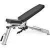 Horizon Fitness Panca Multifunzione Adonis Trainings Argento (Silber/Schwarz)