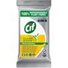 Cif Professional Salviette detergenti Clean & Shine - Salviette multiuso biodegradabili - 1 x 100 pezzi.
