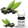 Vishaka Arts Laurel Berry - Olio essenziale, 100% puro bacche di alloro, olio essenziale non diluito, qualità premium, 10 ml