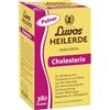 Luvos Heilerde mikrofein Pulver zur Bindung von Cholesterin, 380 g Polvere