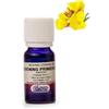 Argital OLIO ESSENZIALE PRIMULA - ENOTERA - 10 ML