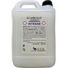 ECOBOLLE Ammorbidente Intense, Super Profumato e Concentrato (10KG)