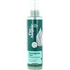 Zuccari PurAseptic Detergente Viso Pelli Impure, Flacone da 250ml, Con Silver Tea Tree Oil, Acido Undecilenico, Hamamelis e Niacinamide, Detersione Purificante per Pelli Grasse e a Tendenza Acneica