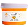 Dolcincasa.com Dolcincasa-Crema Arancia Spalmabile Senza Glutine Italiana Resistente per Dolci e Farcitura Varia 500g