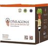 PASTA D'ARAGONA GRAGNANO IGP D'Aragona Pacco Dispensa 02 - GIFT BOX - Pasta di Gragnano IGP - Eccellenza Italiana, Pasta di Semola di Grano Duro Trafilata al Bronzo - Pack 12 x 500 GR