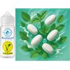 Sasami Northern Chill mint aroma concentrato - vegano - Sasami - 10ml
