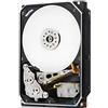 IBM Seagate ST1000NM0033 - Hard disk SATA da 1 TB, 6 Gb/s
