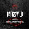 LOEN Entertainment BTS KPOP Bangtanboys 1st Album [DARK & WILD] Vol.1 CD + Photobook + Photocard