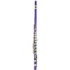 ZXFJYUIP Flauto Traverso Flauto professionale per principianti strumento per suonare il flauto a 16 fori in chiave C(Purple)