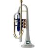 IMI Strumento musicale indiano tromba cornetta 3 valvole, passo in Sib, qualità premium con bocchino e custodia per il trasporto (oro bianco)