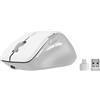 Speedlink Libera Silent Mouse Wireless - Bluetooth & 2,4GHz, clic silenzioso, batteria ricaricabile, rotella di scorrimento con il pollice, 1 profilo Bluetooth, 1x USB-A e 1x USB-C, 3200 DPI, bianco