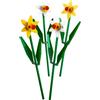 LEGO Narcisi 40646