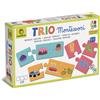 Ludattica 22549 - Trio Montessori- Famiglie Logiche. Set di puzzle per bambini. Più 3 anni. Made in Italy