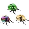 BESPORTBLE 3 Pezzi Finto Coleottero in Figura di Insetto Simulato Giocattolo Coleottero per Halloween e Bomboniere di Pesce D'aprile