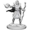 WizKids Pathfinder: Deep Cuts Miniatures - Elf Male Sorcerer