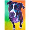 MyPuzzle.com MyPuzzle Pitbull Vivace Con Occhi Espressivi - Premium 1000 Pezzi Puzzle - MyPuzzle Collezione speciale di Puzzle Galaxy