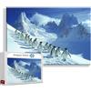 Zhngzoyn Puzzle 1000 Pezzi Pinguino Grandi Dimensioni Per Adulti Giochi Educativi, Difficili Impossible Puzzle Animale Adulti Giochi Rilassamento e Intelligence, Jigsaw Arte per - Pasqua Idea Regalo G-9