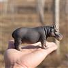 Rianpesn Figurina di ippopotamo - Figure di ippopotamo di simulazione | Figure di animali della fauna selvatica Modello Decorazione del desktop Istruzione Collezione di giocattoli cognitivi Bomboniere Rianpesn