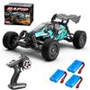 X-Verse 16201PRO Auto telecomandata senza spazzole, 2,4 GHz 1:16 4 WD Auto RC impermeabile, 70 km/H All Terrain Offroad RC Truggy per bambini adulti (3 batterie)