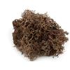 WWS War World Scenics War World Scenics Muschio Naturale per Fogliame da Modellismo Marrone 100g - Lichene Modellismo Ferroviario Scenario Alberi Cespugli Wargame Diorama Materiali Base Spedizione Tracciata
